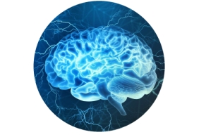 acétylcholine, Alzheimer,CREACHOLINE